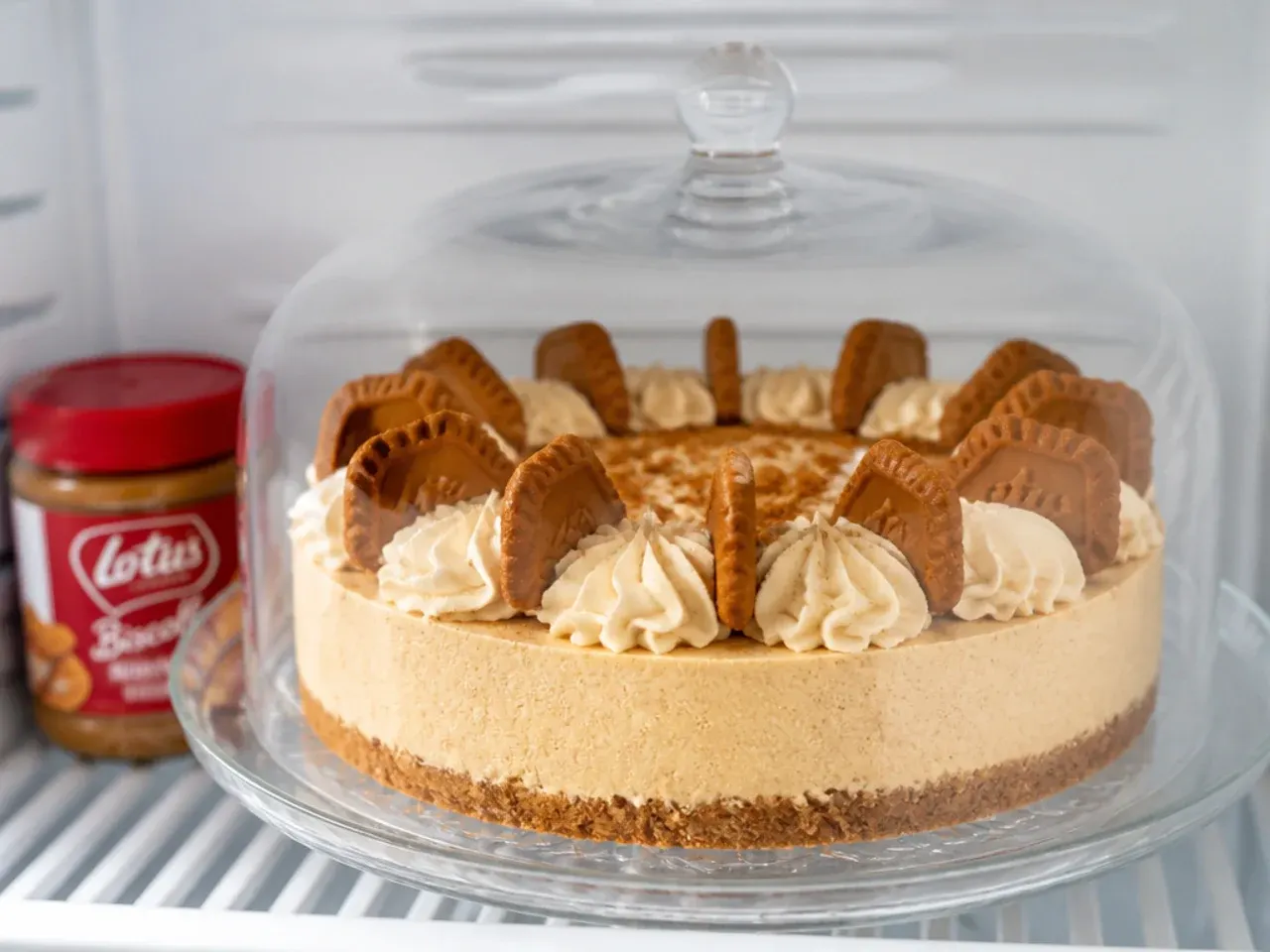 No bake Biscoff cheesecake stored in the fridge under a glass cake dome