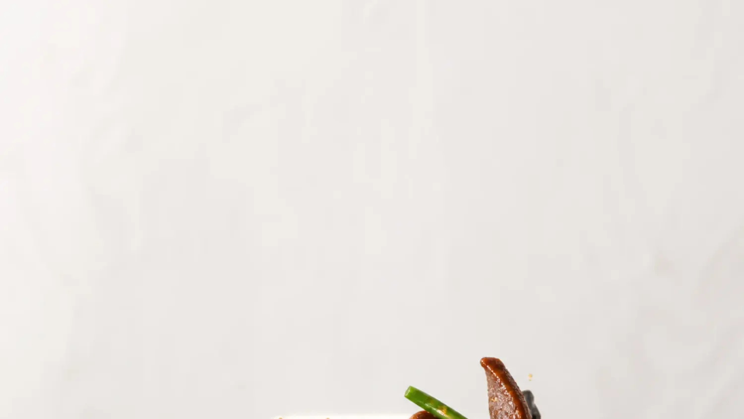 25 Quick Mongolian Beef Stir Fry Ideas